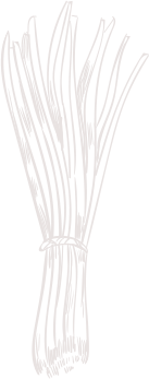 shape 8 1